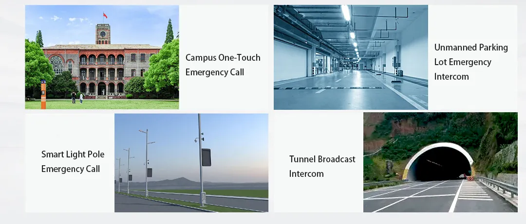 Bi11SV Application Scenarios